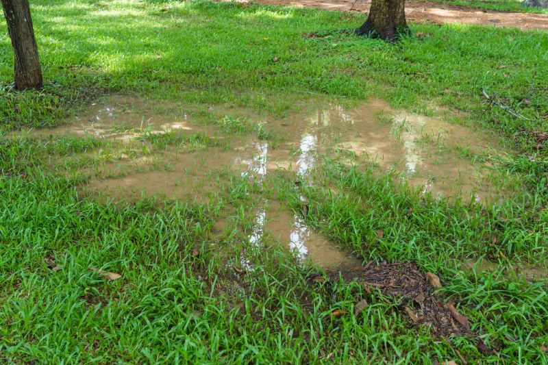 Lawn Drainage in Tuscaloosa, AL